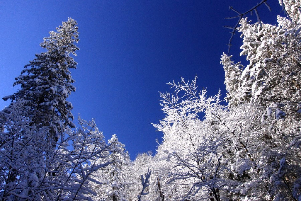 Tatry białe i piękne