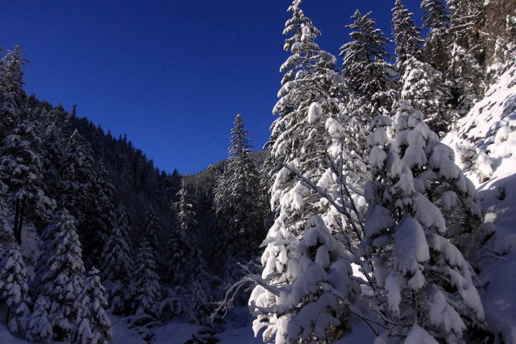 Tatry białe i piękne