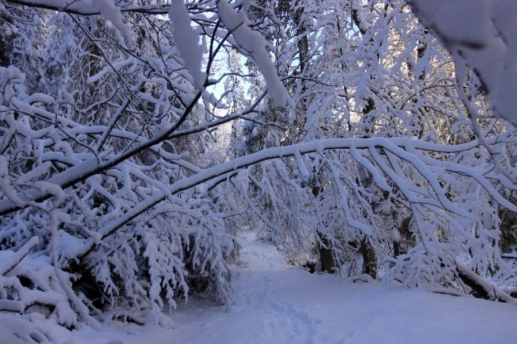 Tatry białe i piękne