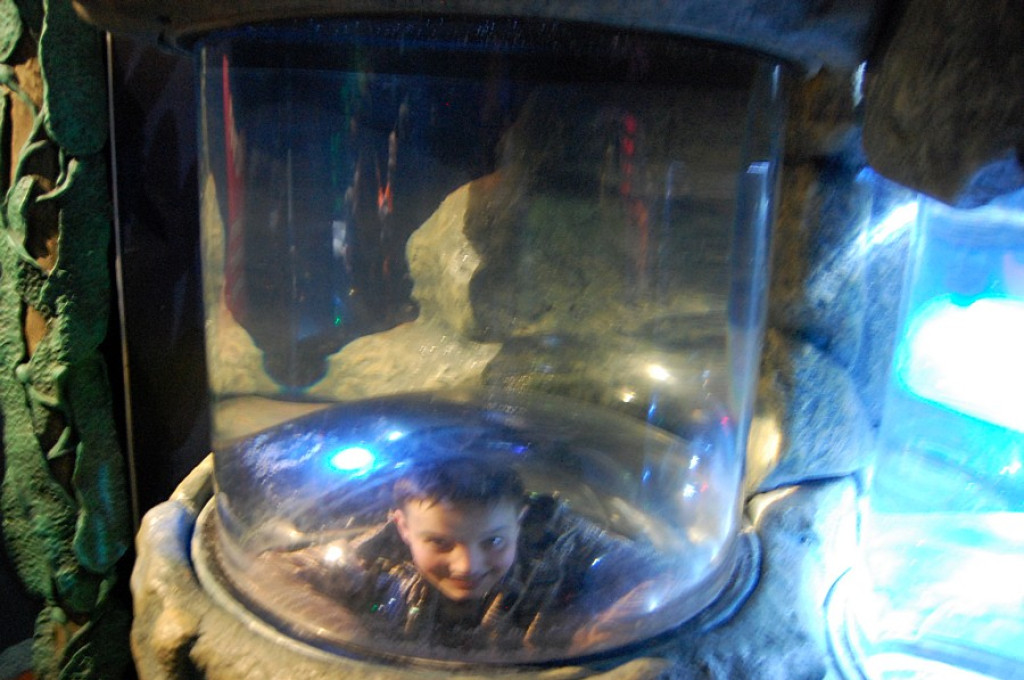 Cichowianie w Dortmundzie