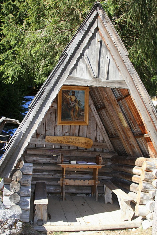 Krokusy w Chochołowskiej