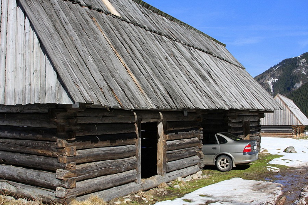 Krokusy w Chochołowskiej