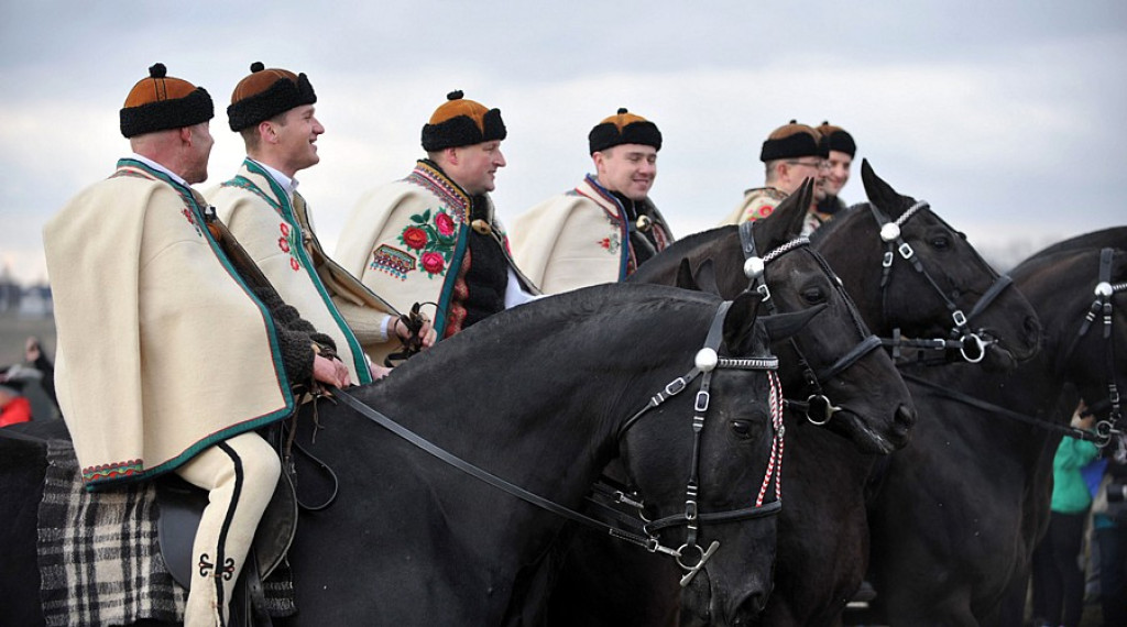 Tłumy witały Kamila Stocha