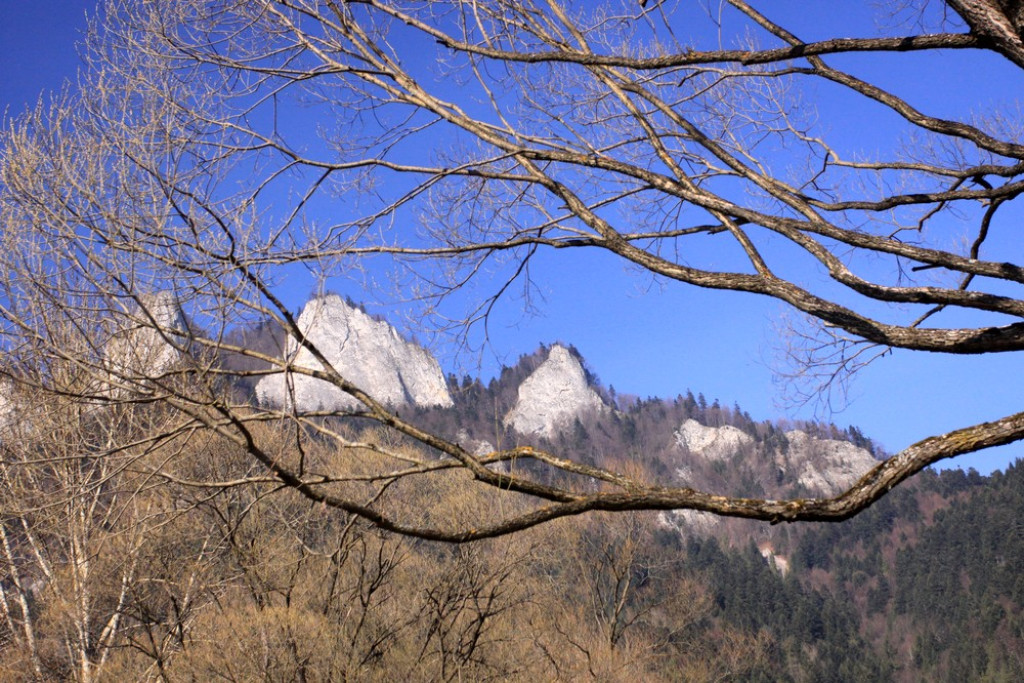 Piękne i opustoszałe Pieniny
