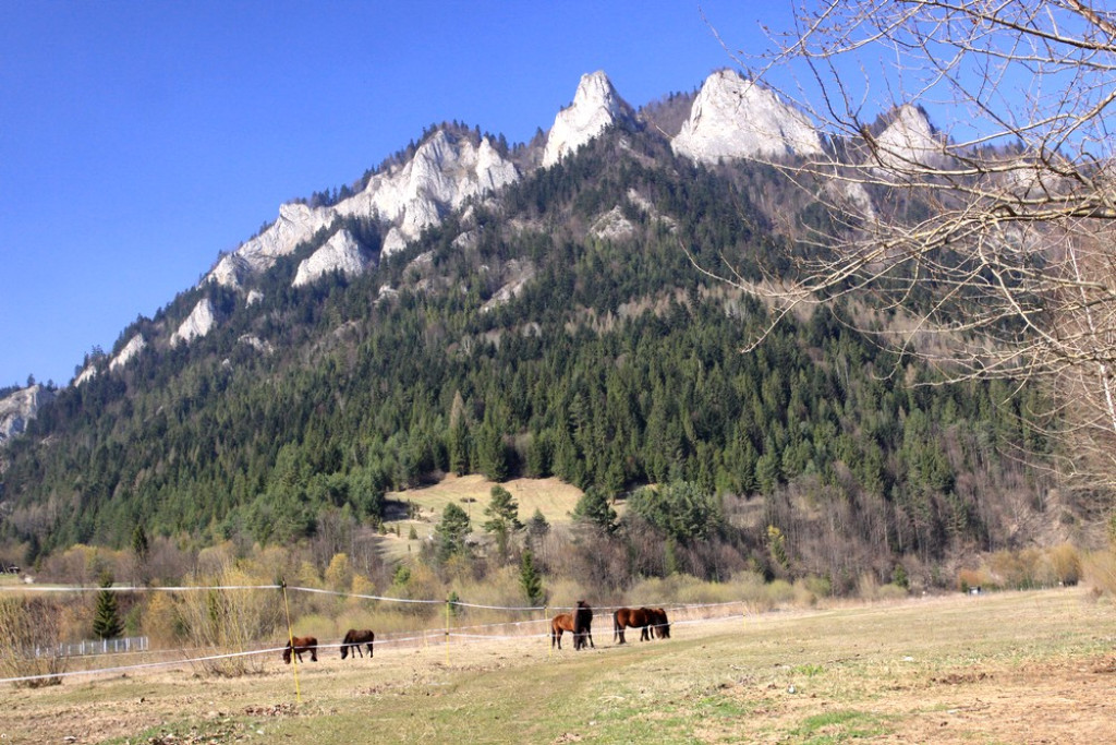 Piękne i opustoszałe Pieniny