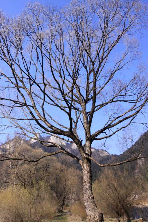 Piękne i opustoszałe Pieniny