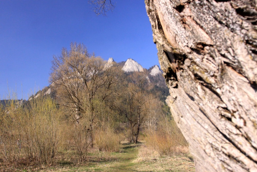 Piękne i opustoszałe Pieniny