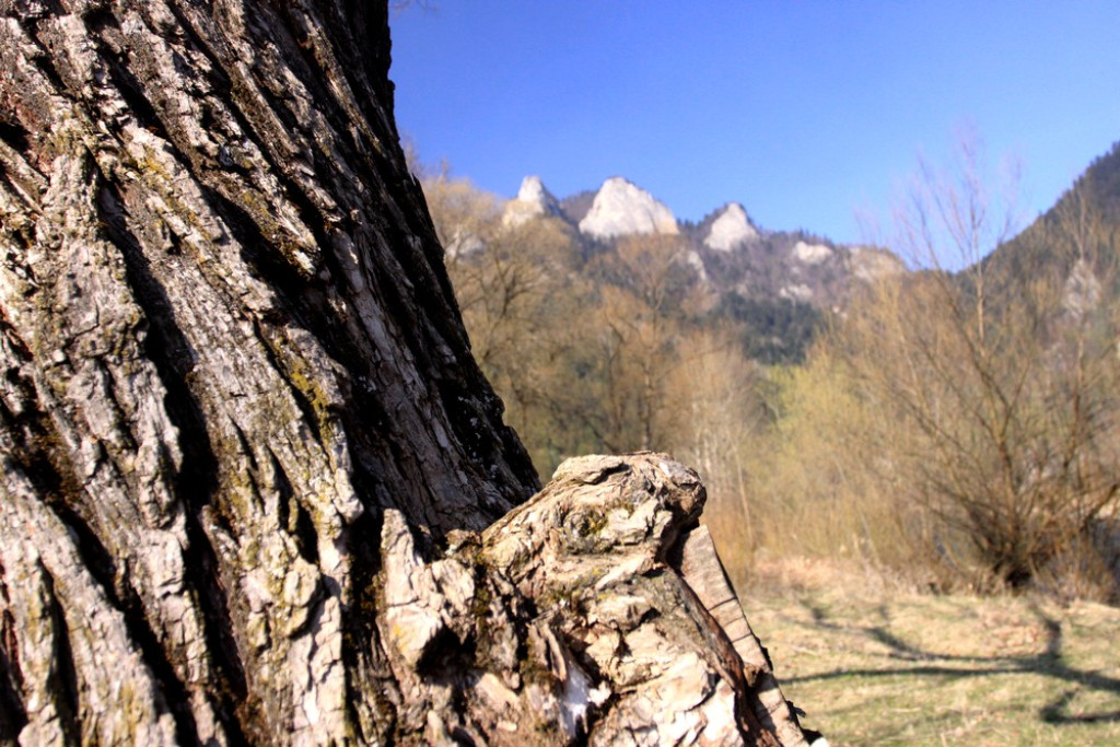 Piękne i opustoszałe Pieniny