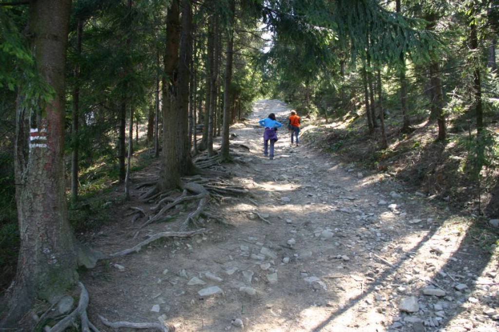 Gorce: Niedziela na Maciejowej