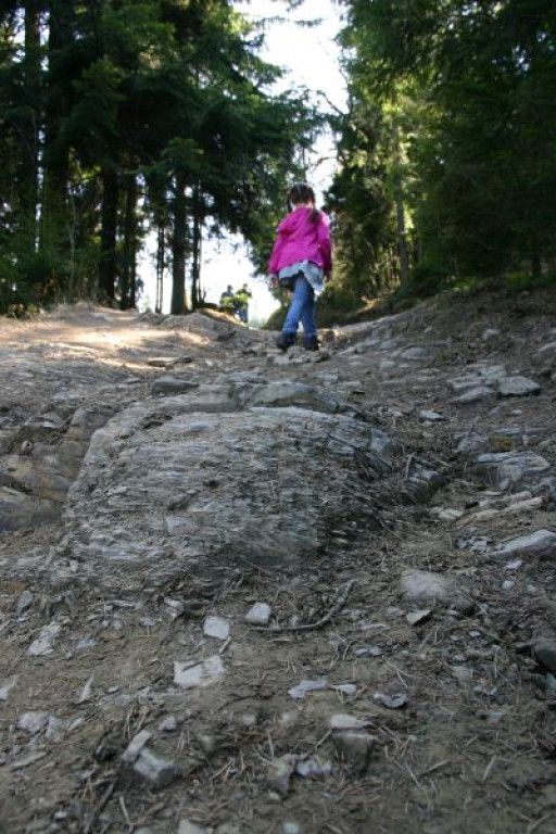 Gorce: Niedziela na Maciejowej