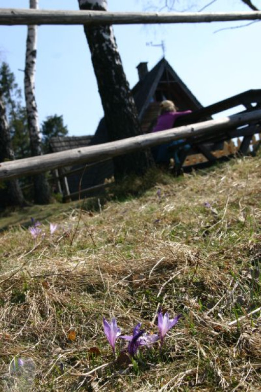 Gorce: Niedziela na Maciejowej