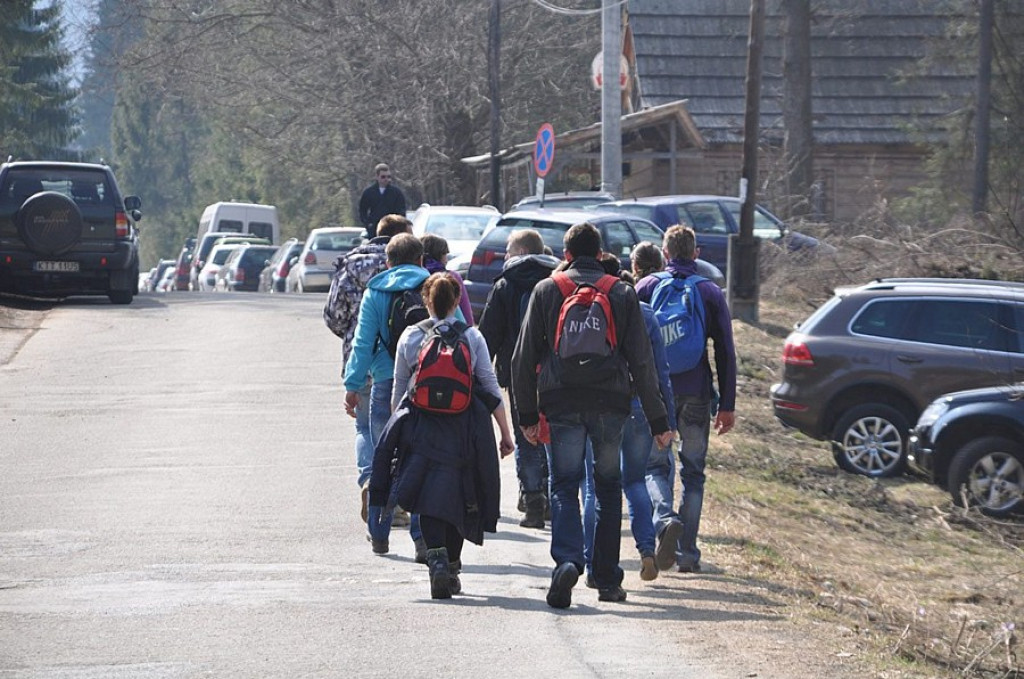 Krokusy w Dolinie Chochołowskiej