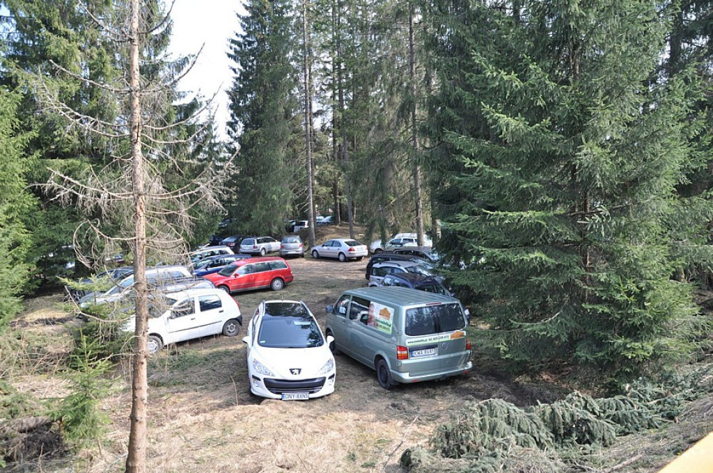 Krokusy w Dolinie Chochołowskiej