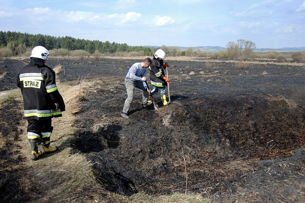 Stare Bystre: Wielki pożar traw i lasu