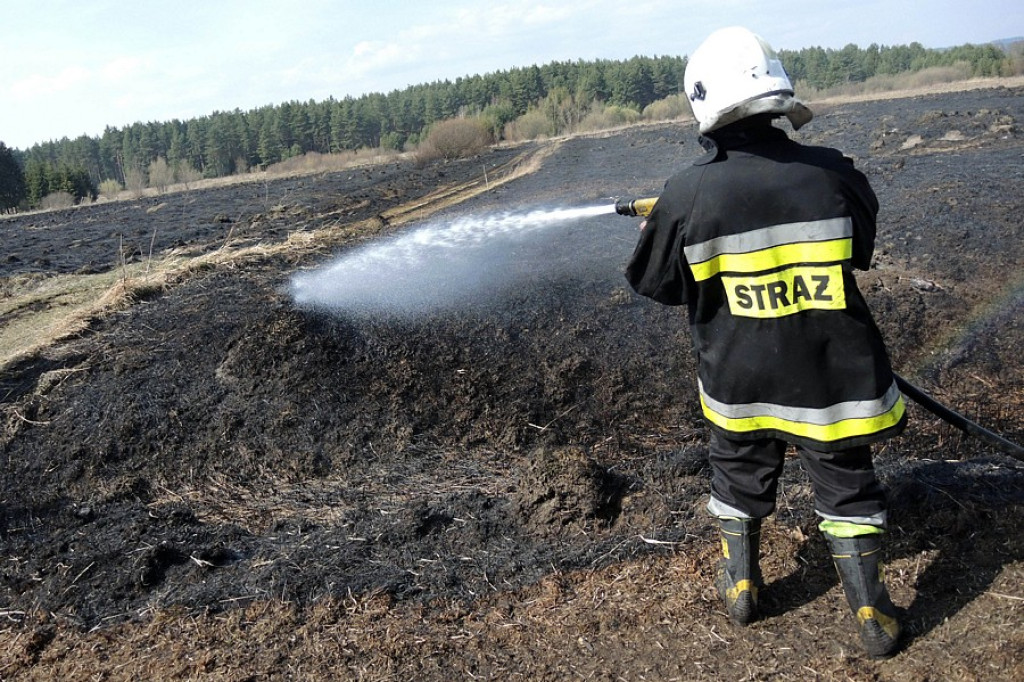 Stare Bystre: Wielki pożar traw i lasu