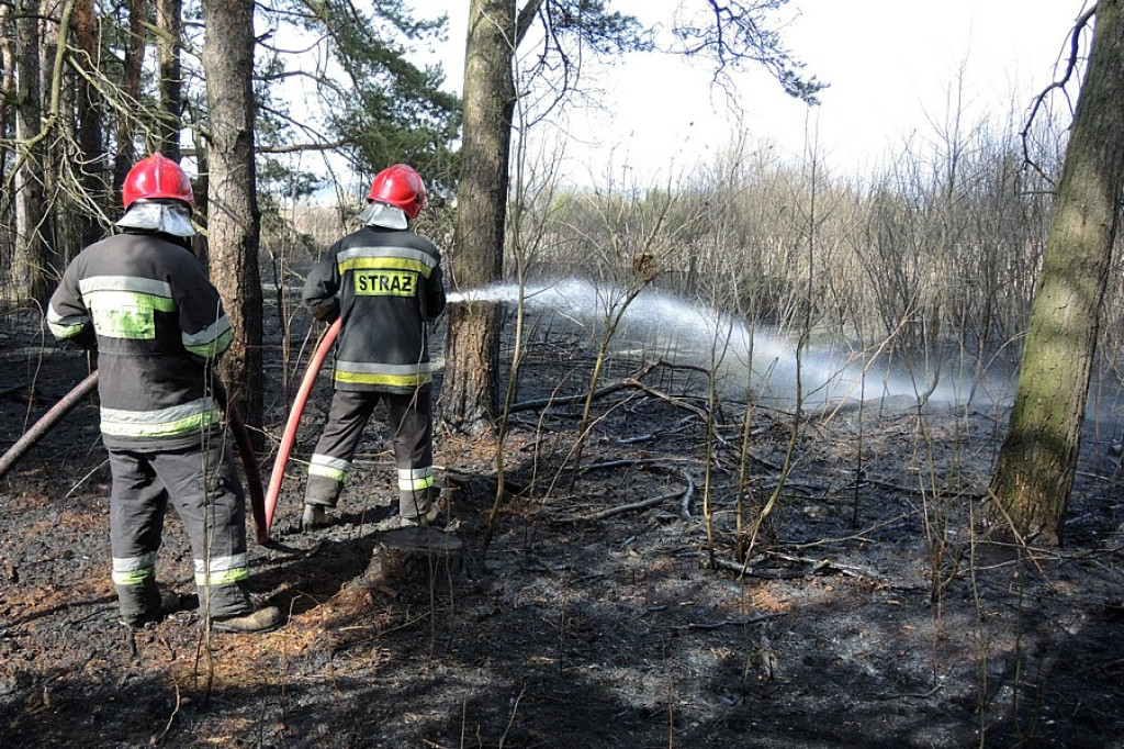 Stare Bystre: Wielki pożar traw i lasu