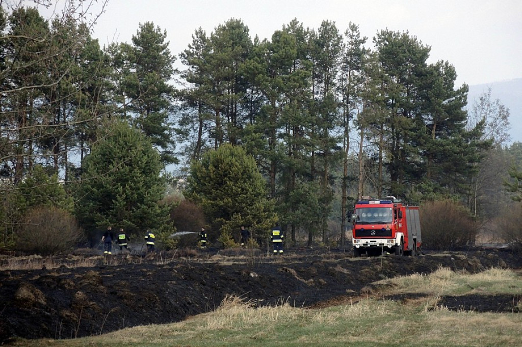 Stare Bystre: Wielki pożar traw i lasu
