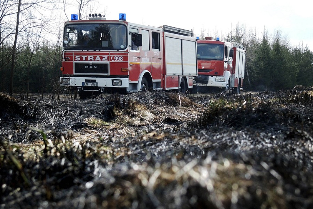 Stare Bystre: Wielki pożar traw i lasu