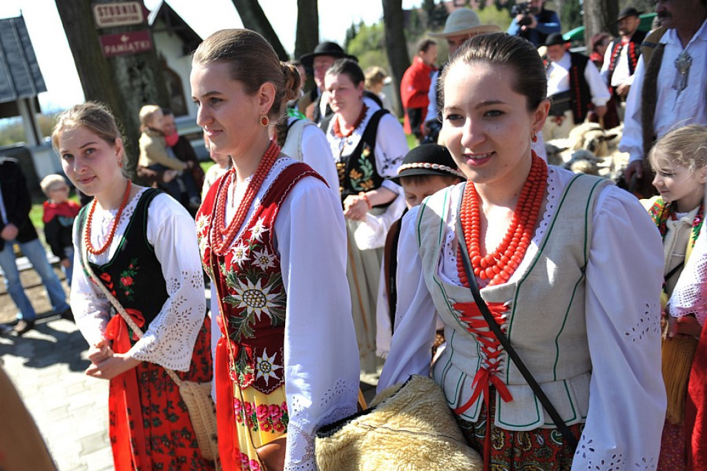 Święto Bacowskie w Ludźmierzu: Kierdel owiec symbolicznie poświęcony