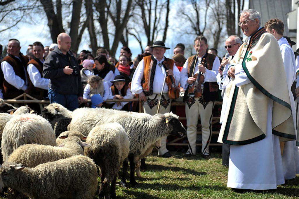 Święto Bacowskie w Ludźmierzu: Kierdel owiec symbolicznie poświęcony