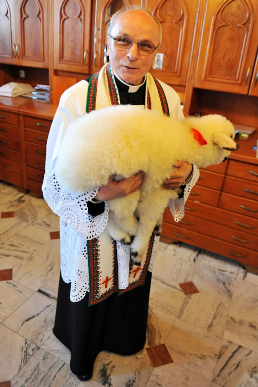 Święto Bacowskie w Ludźmierzu: Kierdel owiec symbolicznie poświęcony