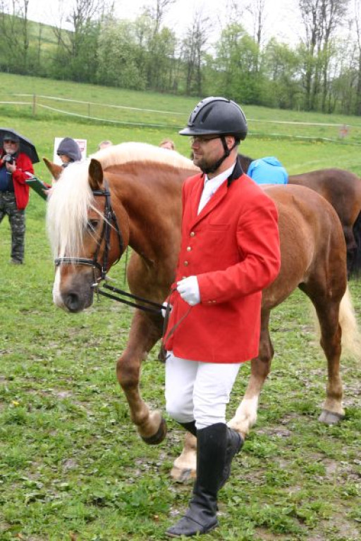 Mszana Górna: Beskid Wyspowy z wysokości siodła