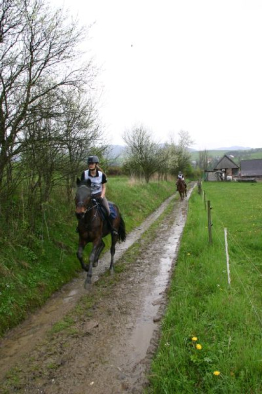 Mszana Górna: Beskid Wyspowy z wysokości siodła