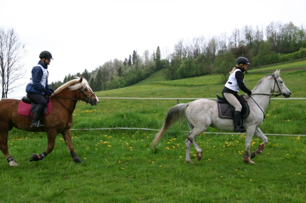 Mszana Górna: Beskid Wyspowy z wysokości siodła