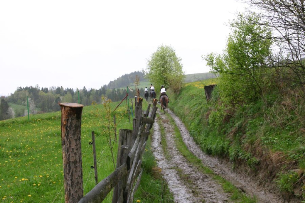 Mszana Górna: Beskid Wyspowy z wysokości siodła