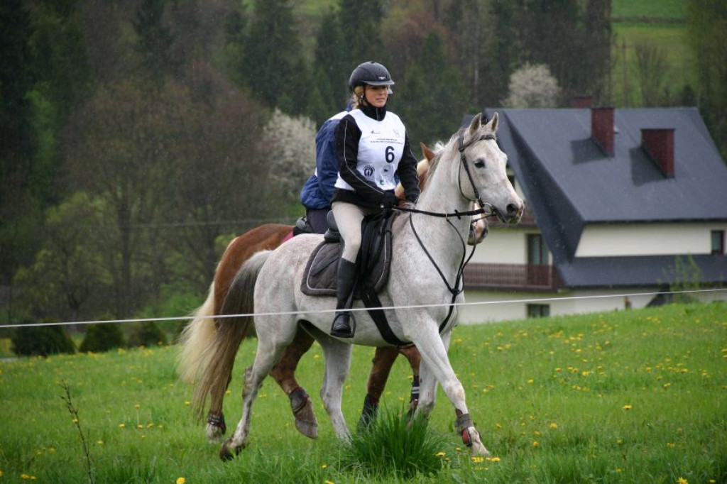 Mszana Górna: Beskid Wyspowy z wysokości siodła