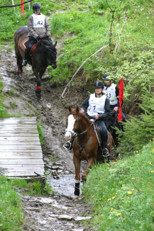 Mszana Górna: Beskid Wyspowy z wysokości siodła