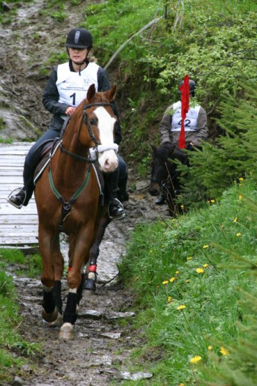 Mszana Górna: Beskid Wyspowy z wysokości siodła