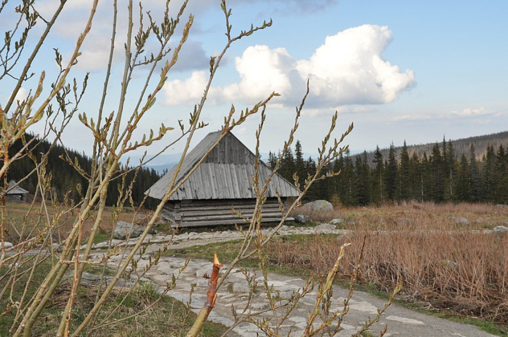 Wiosna wróciła w Tatry
