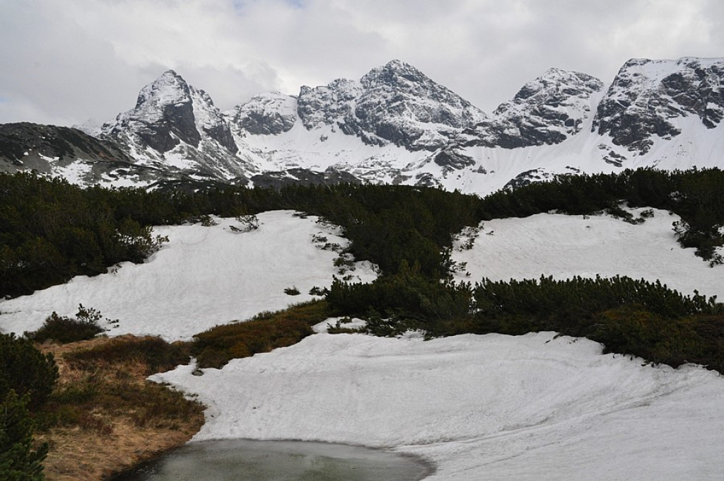Wiosna wróciła w Tatry