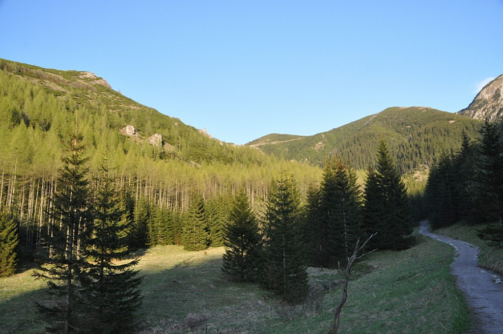 Wiosna wróciła w Tatry