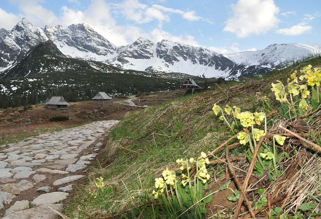 Wiosna wróciła w Tatry