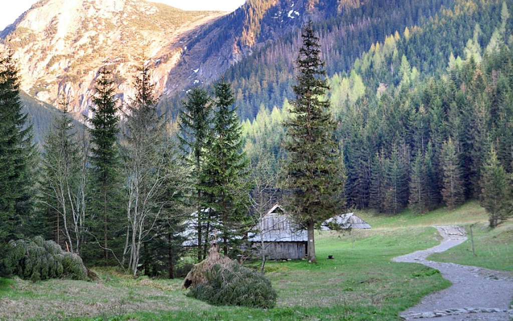 Wiosna wróciła w Tatry