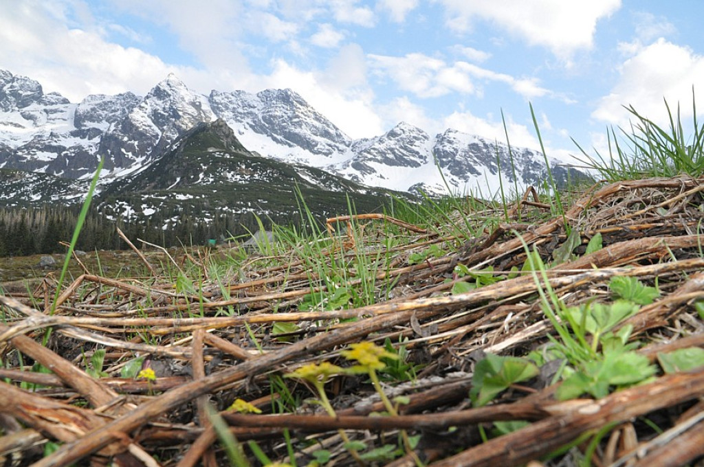 Wiosna wróciła w Tatry