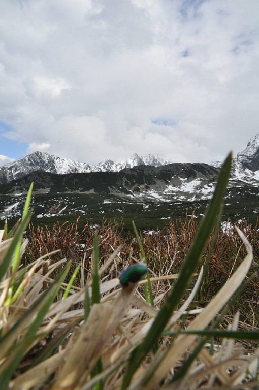 Wiosna wróciła w Tatry