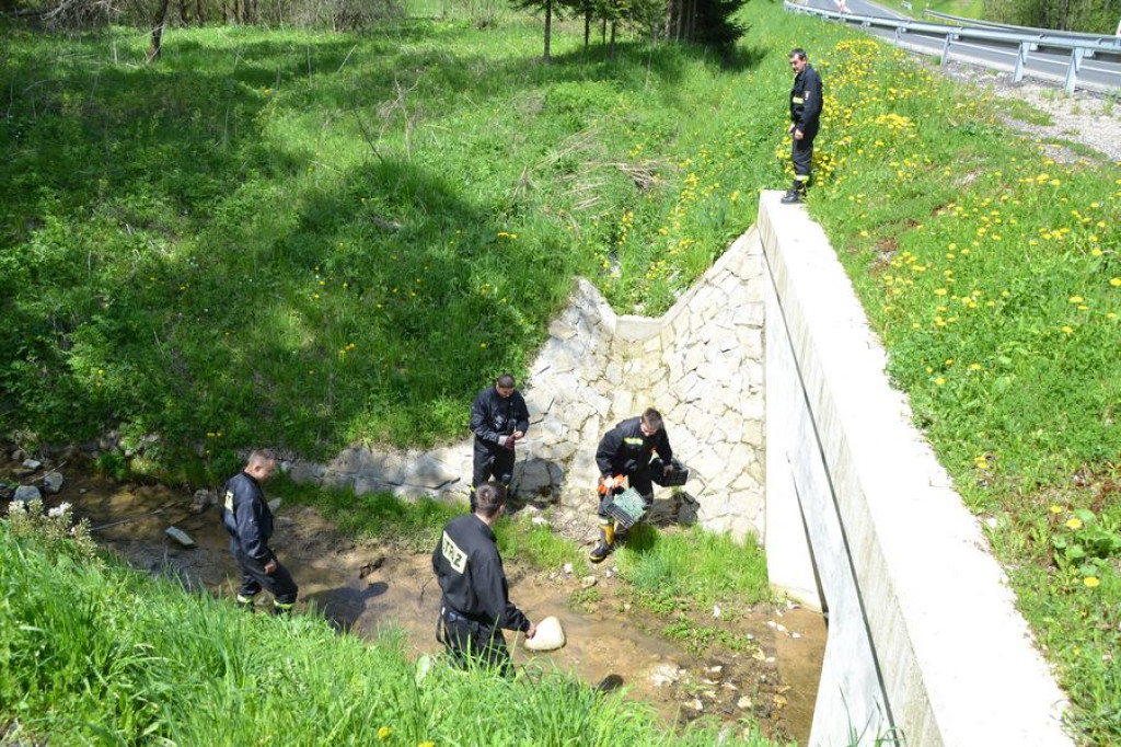 Gminne sprzątanie świata