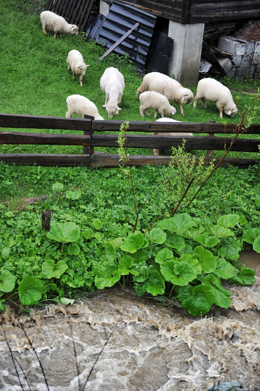 Ulewy, podtopienia i powódź: Niż przeszedł nad Podhalem