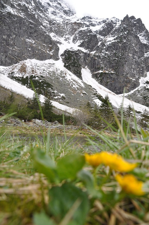 Majowe Morskie Oko i Czarny Staw pod Rysami