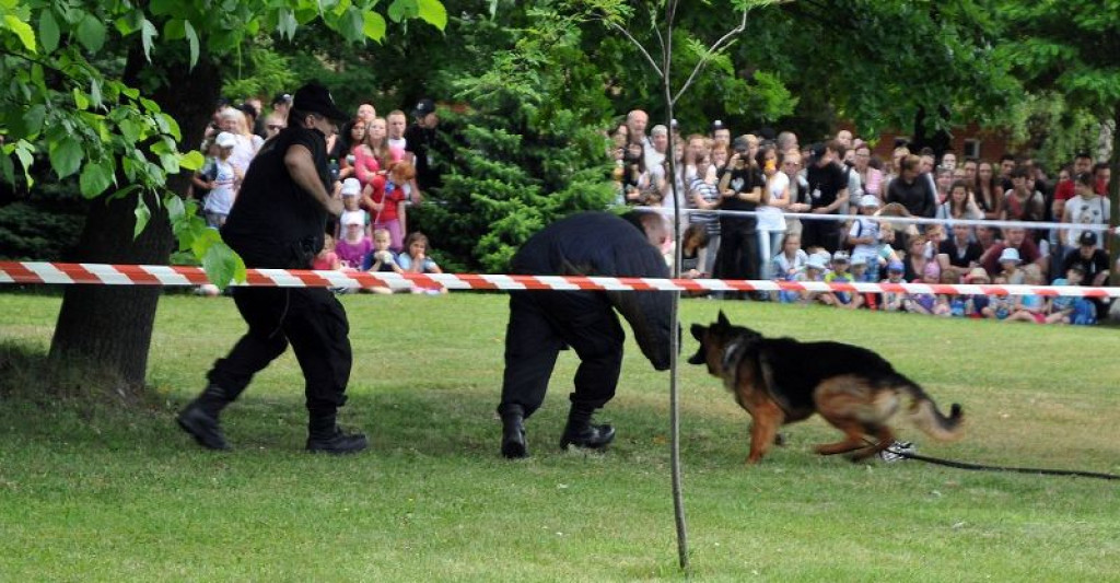 Nowotarscy kadeci w katowickiej szkole policji