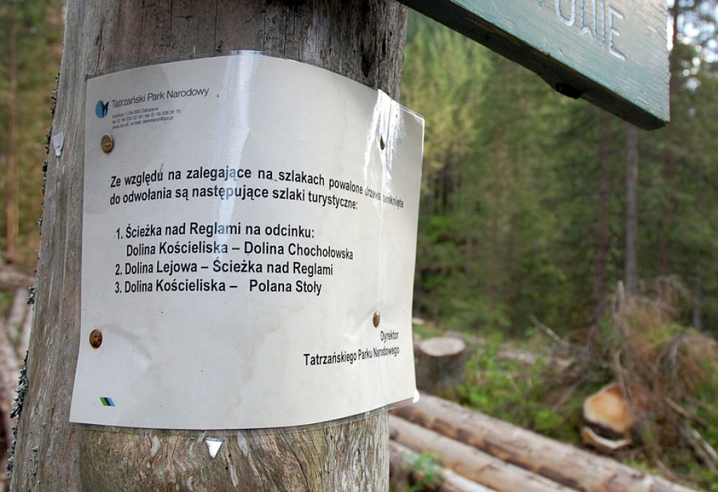 Dolina Kościeliska i Chochołowska nadal z powalonymi drzewami