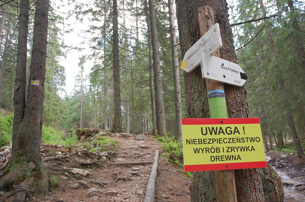 Dolina Kościeliska i Chochołowska nadal z powalonymi drzewami