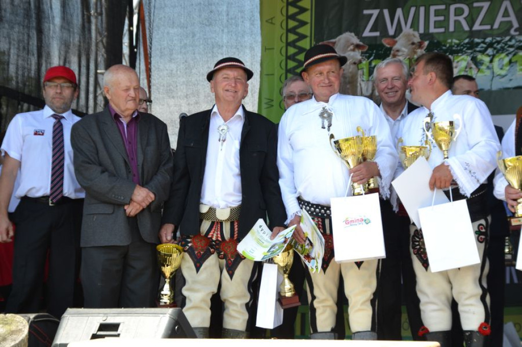 Czysta rasa na Podhalu