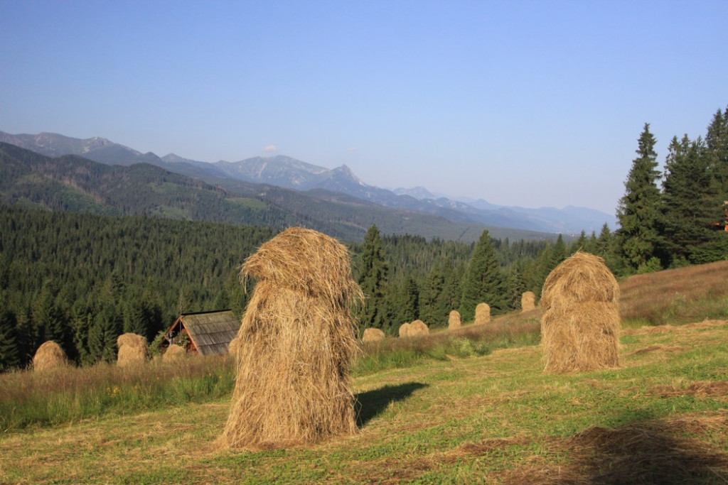 Tatry wieczorem, Tatry o poranku