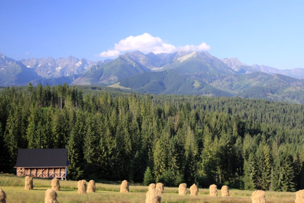 Tatry wieczorem, Tatry o poranku