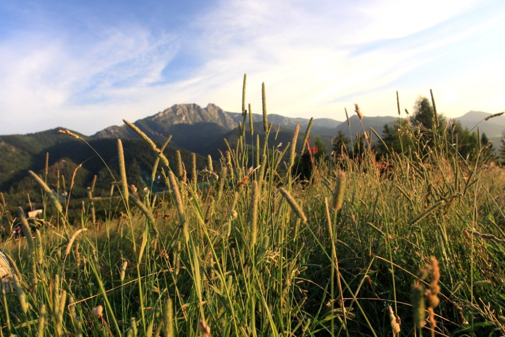 Tatry wieczorem, Tatry o poranku