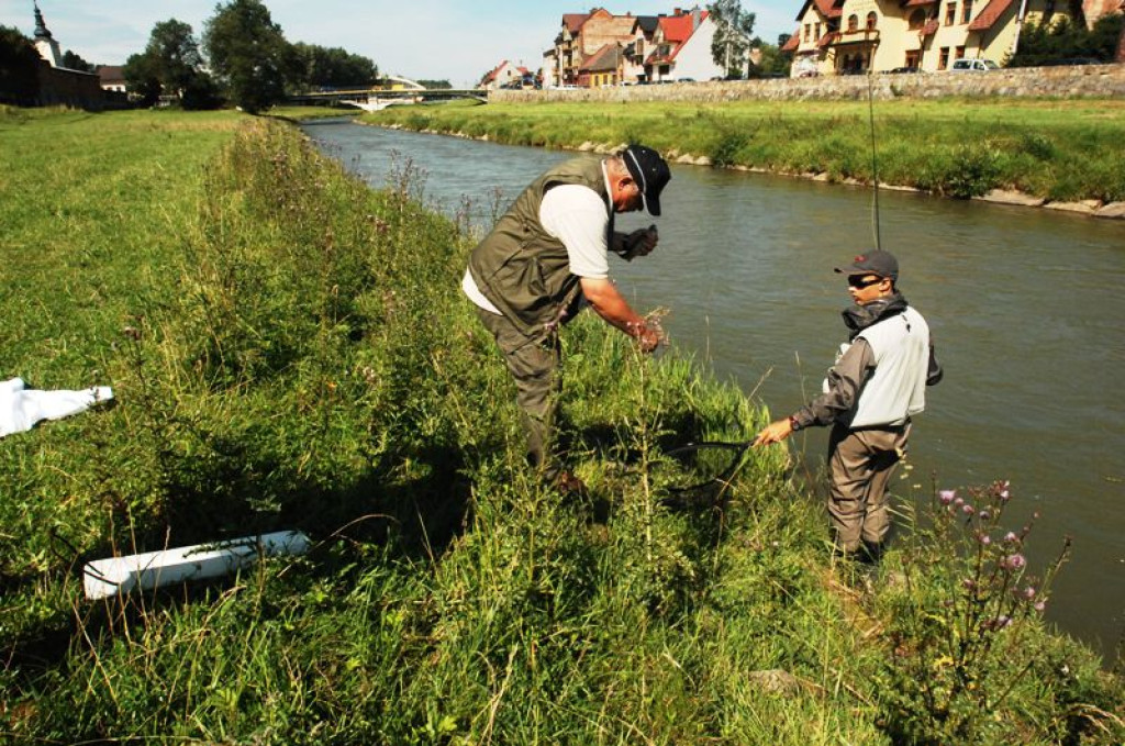 Muchowe mistrzostwa świata na rzekach Podhala